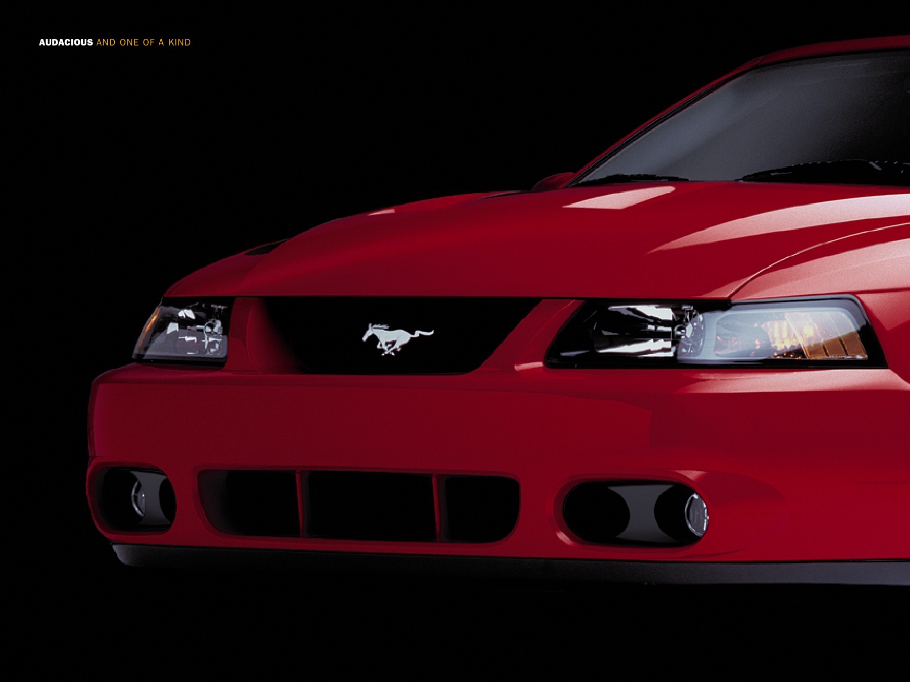 2003 Ford Mustang Cobra Brochure Page 10